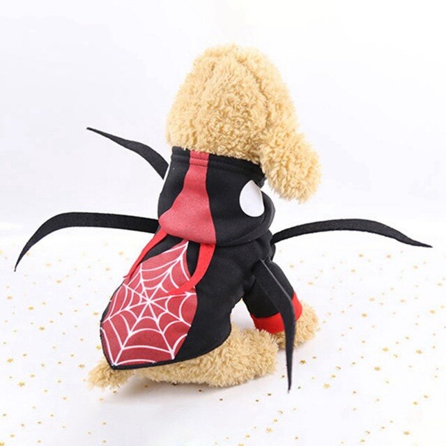 Kot kostium czaszka Halloween z dyni pająk Cosplay odzież dla kotów - Wianko - 15