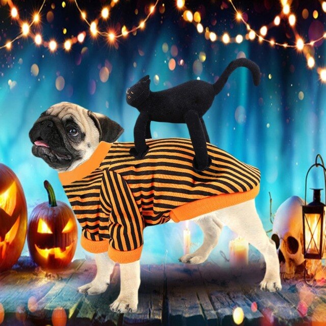 Kot kostium czaszka Halloween z dyni pająk Cosplay odzież dla kotów - Wianko - 4