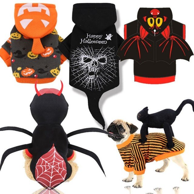 Kot kostium czaszka Halloween z dyni pająk Cosplay odzież dla kotów - Wianko - 5