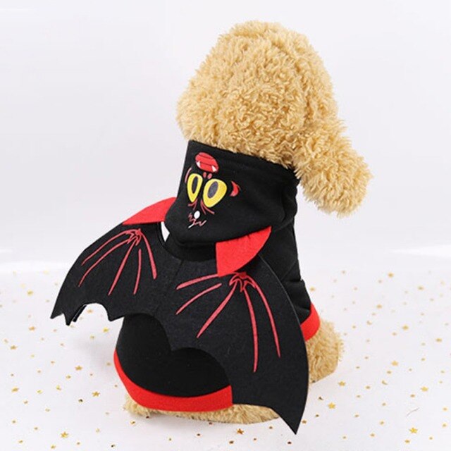 Kot kostium czaszka Halloween z dyni pająk Cosplay odzież dla kotów - Wianko - 9