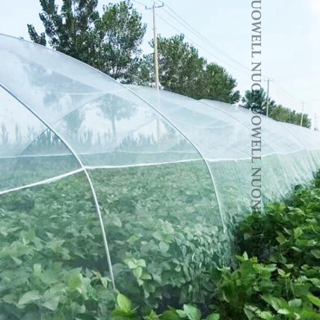 Ogród Warzywa Rośliny Owocowe Pokrywa Sieć Kontrola Szkodników Netto Moskitiera - 100Mesh, 1m szerokości, 3.28ft długości, plastikowa - Wianko - 15