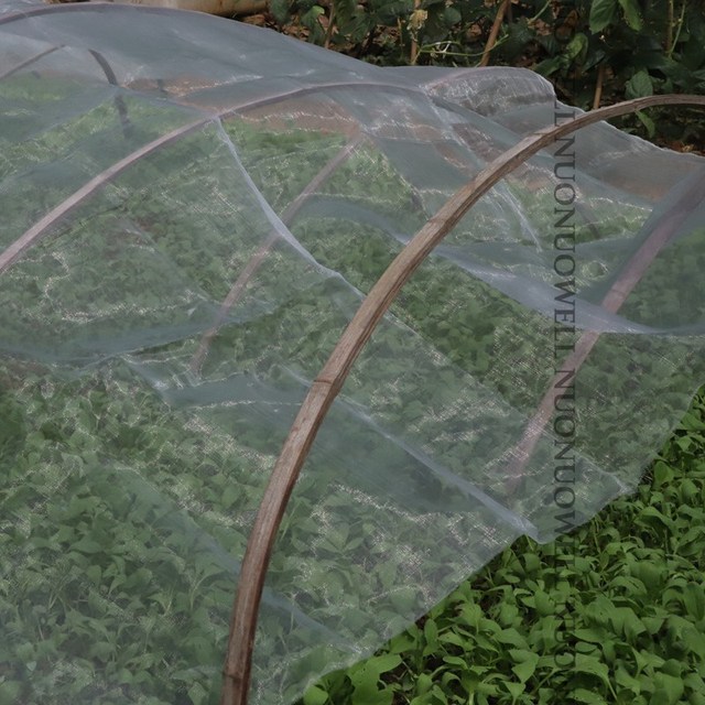 Ogród Warzywa Rośliny Owocowe Pokrywa Sieć Kontrola Szkodników Netto Moskitiera - 100Mesh, 1m szerokości, 3.28ft długości, plastikowa - Wianko - 19