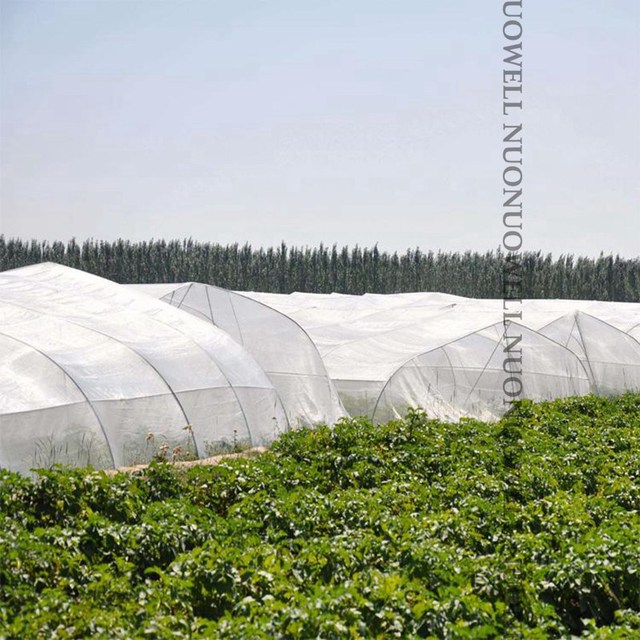 Ogród Warzywa Rośliny Owocowe Pokrywa Sieć Kontrola Szkodników Netto Moskitiera - 100Mesh, 1m szerokości, 3.28ft długości, plastikowa - Wianko - 13