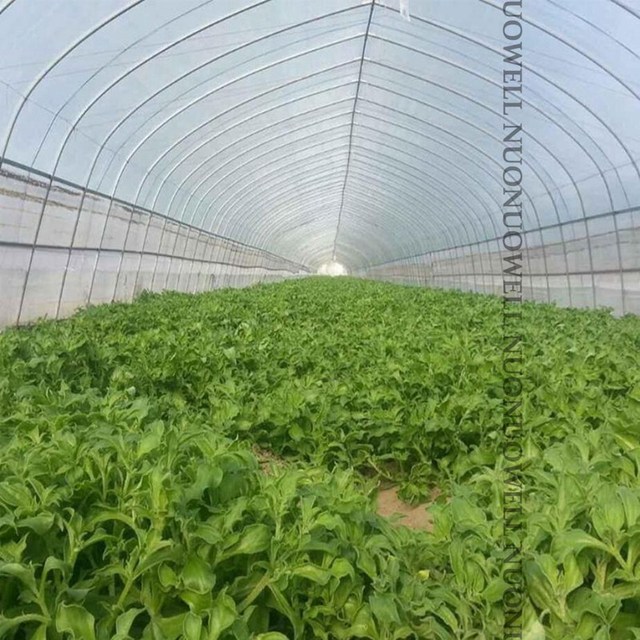 Ogród Warzywa Rośliny Owocowe Pokrywa Sieć Kontrola Szkodników Netto Moskitiera - 100Mesh, 1m szerokości, 3.28ft długości, plastikowa - Wianko - 14
