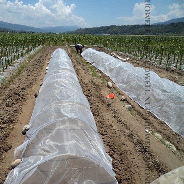 Ogród Warzywa Rośliny Owocowe Pokrywa Sieć Kontrola Szkodników Netto Moskitiera - 100Mesh, 1m szerokości, 3.28ft długości, plastikowa - Wianko - 12
