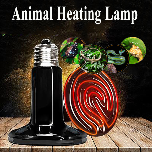 Ceramiczna żarówka do ogrzewania dla wspinaczek i zwierząt, temperaturowa kontrola w nocy dla gadów, żółwi i jeża - Wianko - 1
