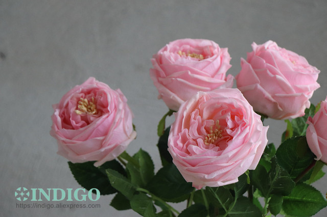 Austen Rose Home Decoration - 5 łodyg różowych kwiatów lateksowych o realistycznym dotyku dla ślubu, wydarzenia i dekoracji (INDIGO) - Wianko - 11