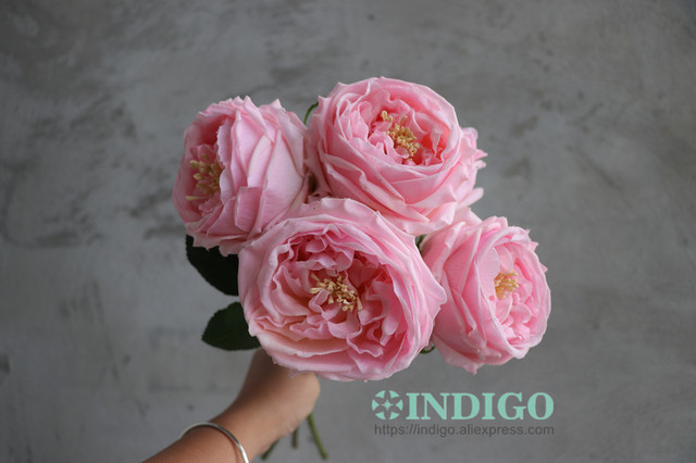 Austen Rose Home Decoration - 5 łodyg różowych kwiatów lateksowych o realistycznym dotyku dla ślubu, wydarzenia i dekoracji (INDIGO) - Wianko - 9