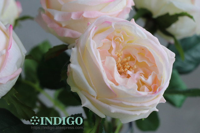 Austen Rose Home Decoration - 5 łodyg różowych kwiatów lateksowych o realistycznym dotyku dla ślubu, wydarzenia i dekoracji (INDIGO) - Wianko - 8