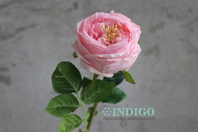 Austen Rose Home Decoration - 5 łodyg różowych kwiatów lateksowych o realistycznym dotyku dla ślubu, wydarzenia i dekoracji (INDIGO) - Wianko - 16