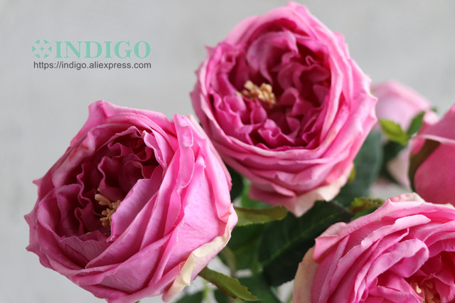 Austen Rose Home Decoration - 5 łodyg różowych kwiatów lateksowych o realistycznym dotyku dla ślubu, wydarzenia i dekoracji (INDIGO) - Wianko - 13