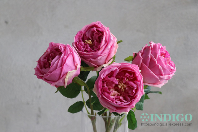 Austen Rose Home Decoration - 5 łodyg różowych kwiatów lateksowych o realistycznym dotyku dla ślubu, wydarzenia i dekoracji (INDIGO) - Wianko - 12