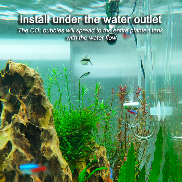 Licznik babelków dyfuzora CO2 do akwarium ze spiralnym szklanym zbiornikiem - Wianko - 2