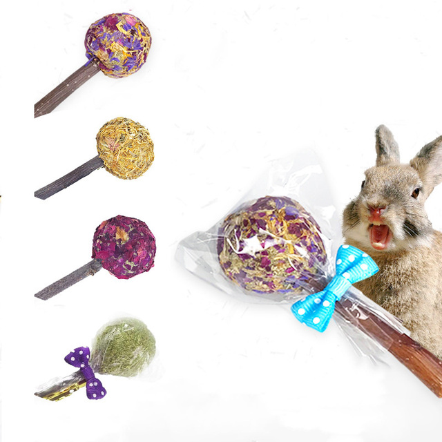 Trawiasta piłka Lollipop dla królika morskiego i świnki morskiej - Wianko - 2