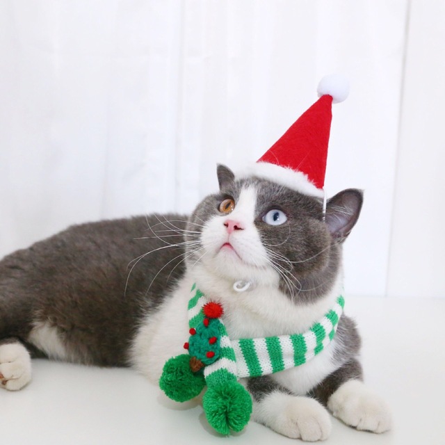 Miękki szal świąteczny dla kociąt i małych psów wełniana chustka na szyję - Wianko - 7