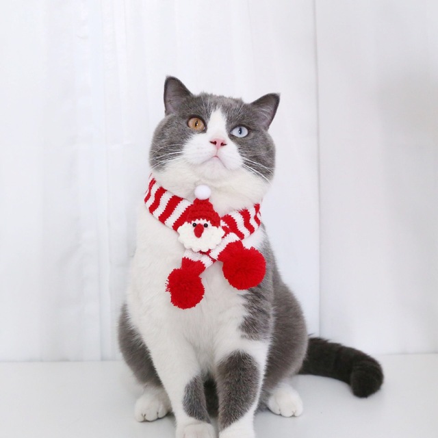 Miękki szal świąteczny dla kociąt i małych psów wełniana chustka na szyję - Wianko - 6
