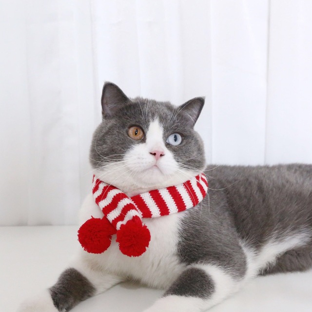 Miękki szal świąteczny dla kociąt i małych psów wełniana chustka na szyję - Wianko - 9