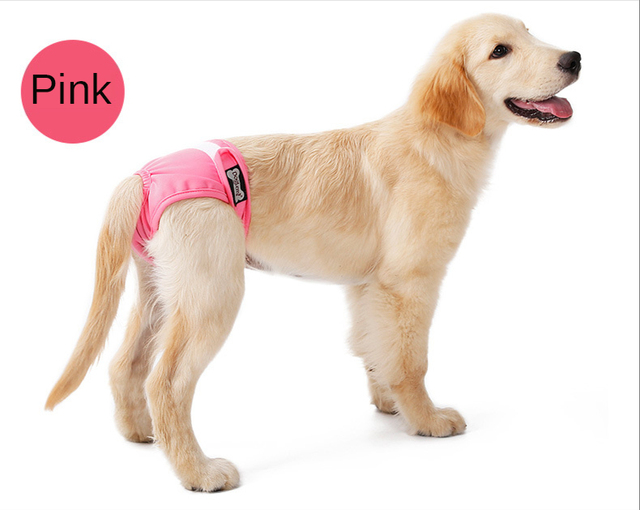 Nowe oddychające kobiece spodnie fizjologiczne dla psów - higieniczne zmywalne pieluchy dla zwierząt! - Wianko - 12