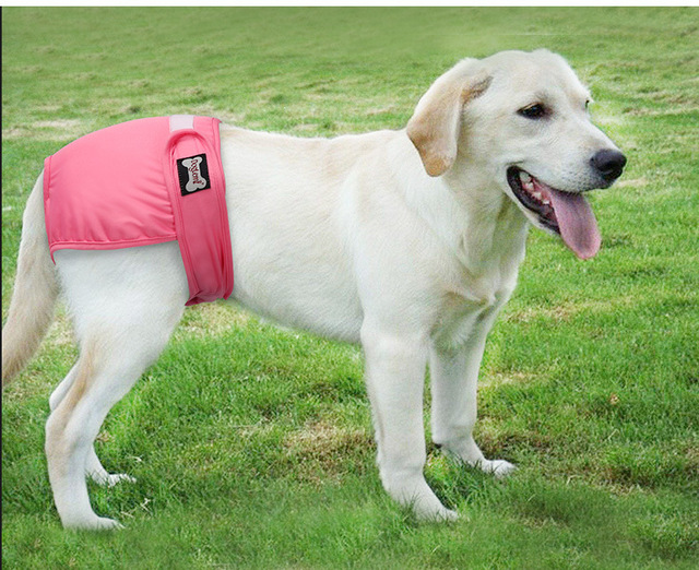 Nowe oddychające kobiece spodnie fizjologiczne dla psów - higieniczne zmywalne pieluchy dla zwierząt! - Wianko - 13