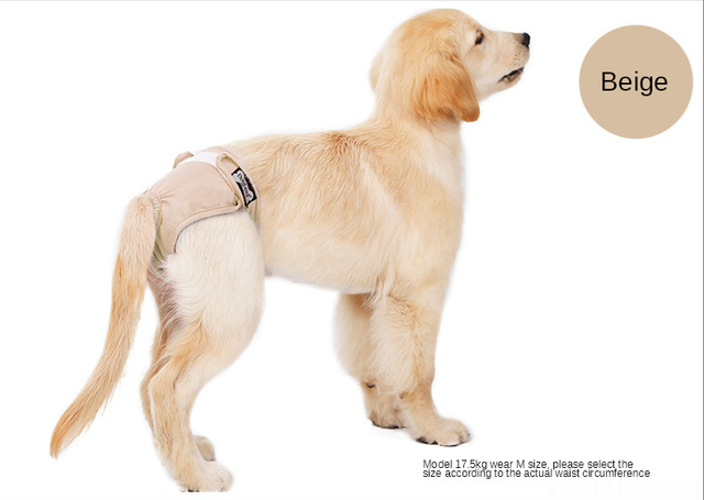 Nowe oddychające kobiece spodnie fizjologiczne dla psów - higieniczne zmywalne pieluchy dla zwierząt! - Wianko - 10