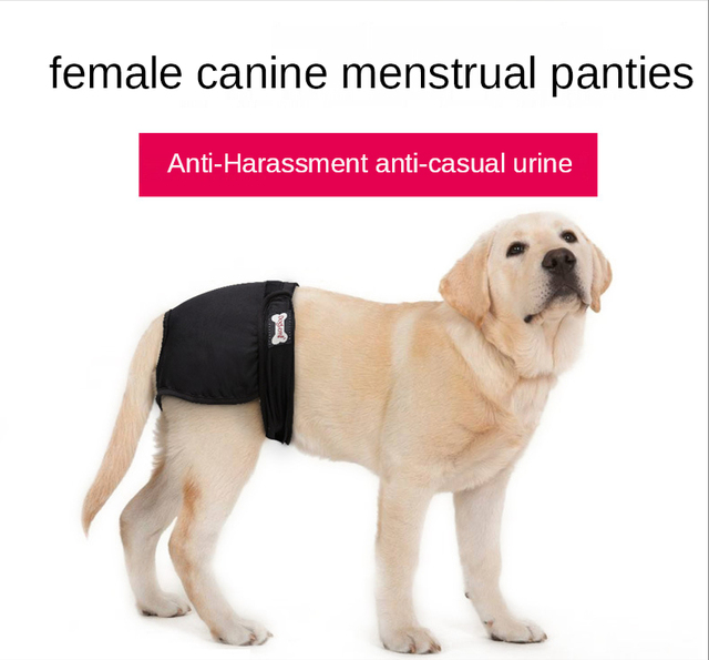 Nowe oddychające kobiece spodnie fizjologiczne dla psów - higieniczne zmywalne pieluchy dla zwierząt! - Wianko - 2